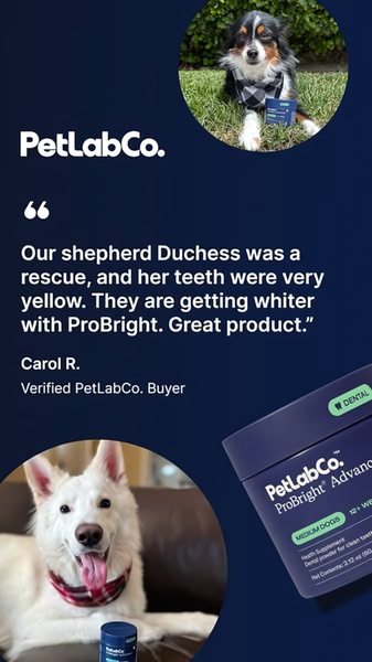 A vertical-format testimonial ad featuring a customer success story, user-generated-style pet photography, and product branding for a pet dental supplement.